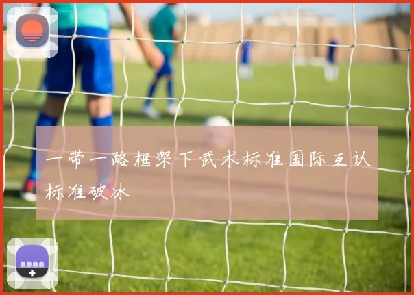 一带一路框架下武术标准国际互认标准破冰