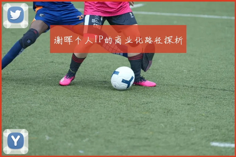 谢晖个人IP的商业化路径探析
