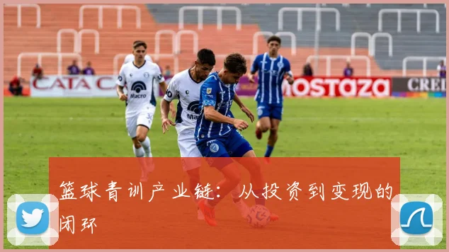 篮球青训产业链：从投资到变现的闭环