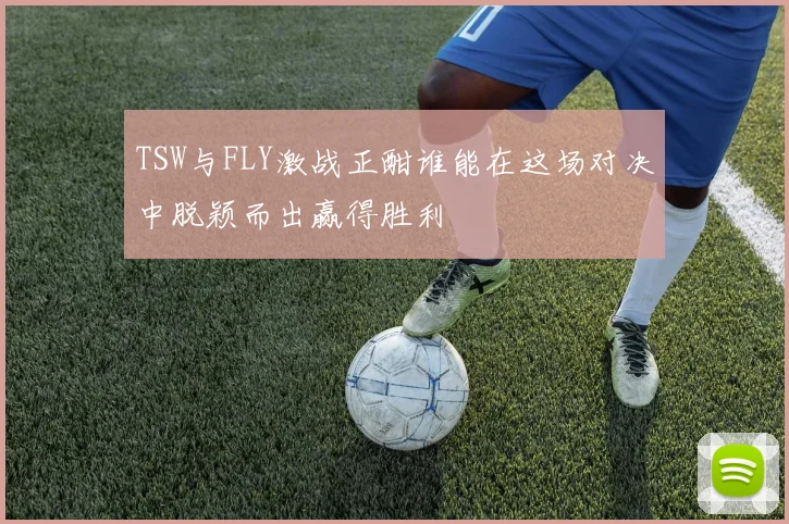 TSW与FLY激战正酣谁能在这场对决中脱颖而出赢得胜利